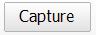 10. Capture Button