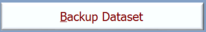 8. Backup Dataset