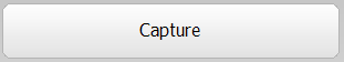 7. Capture Button